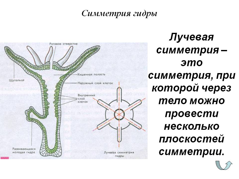 Clear ссылка на кракен