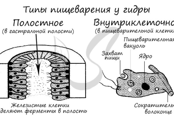 Ссылка на кракен тор
