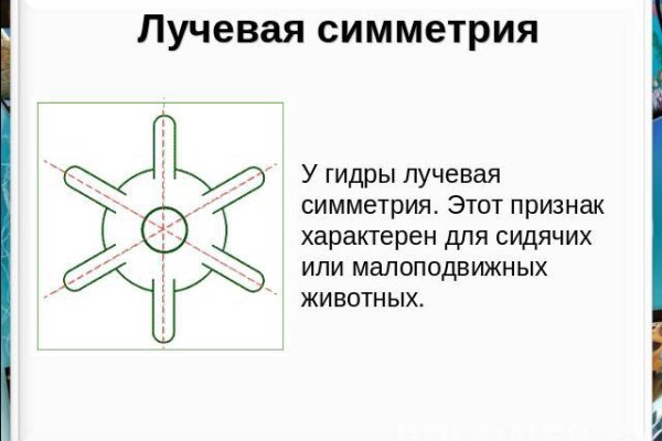 Кракен зеркало рабочее на сегодня