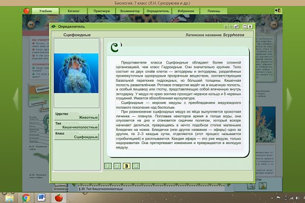 Кракен маркетплейс что там
