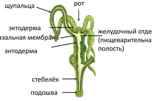 Kraken зеркало kraken link top