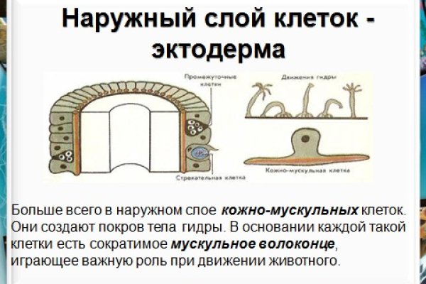 Аналог гидры