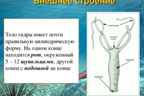 Кракен ссылка стор