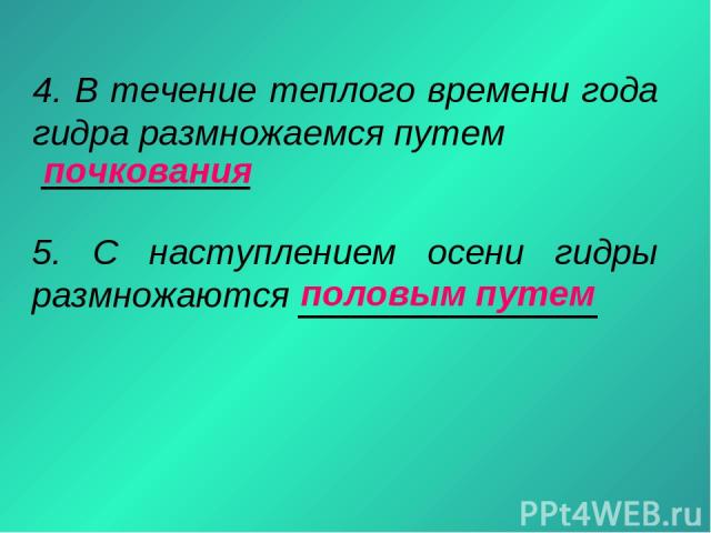 Кракен маркетплейс что